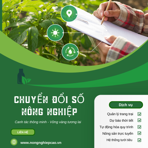 Công Nghệ Trong Khởi Nghiệp Nông Sản Sạch: Chìa Khóa Thành Công?
